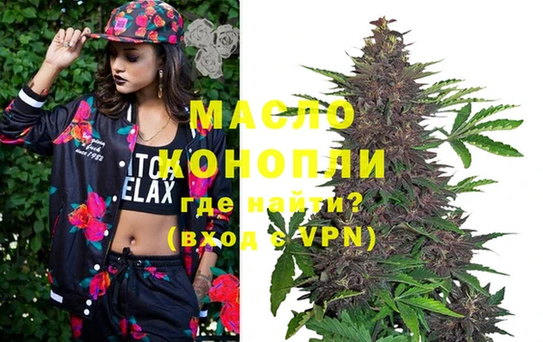 дмт Бородино