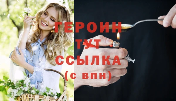 дмт Бородино
