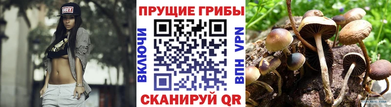 где купить наркоту Михайлов Псилоцибиновые грибы MAGIC MUSHROOMS