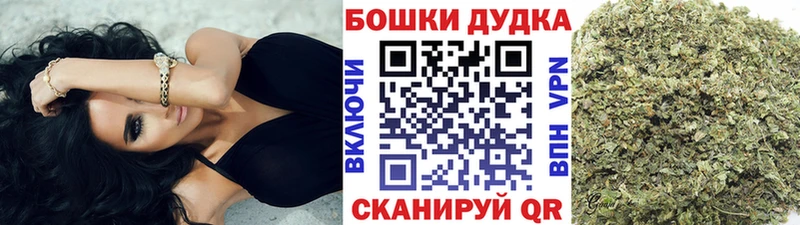 Конопля марихуана  Михайлов 